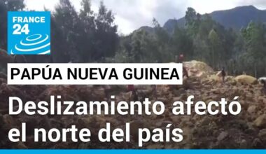 Al menos 300 personas sepultadas por deslizamiento de tierra en Papúa Nueva Guinea • FRANCE 24
