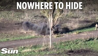 Watch as Russian troops dart behind single TREE to avoid Ukrainian targeted strikes