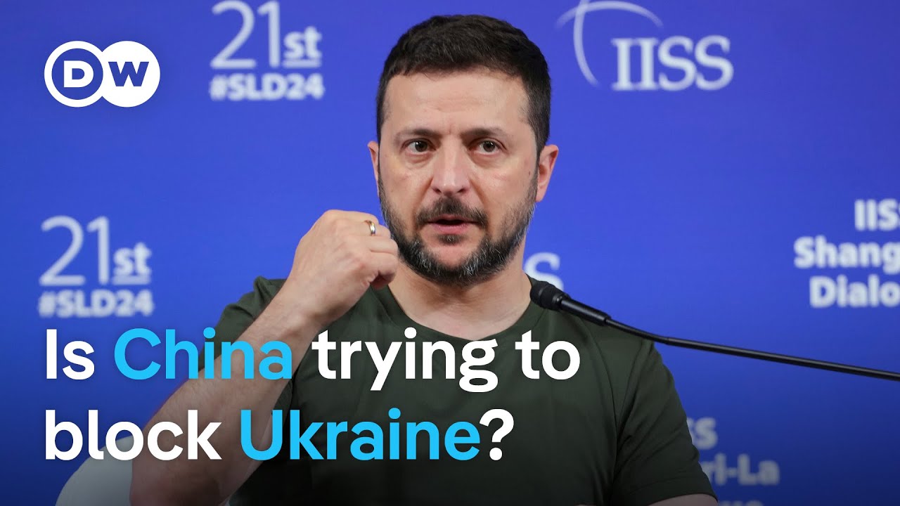 Zelenskyy accuses China & Russia of disrupting peace efforts | DW News