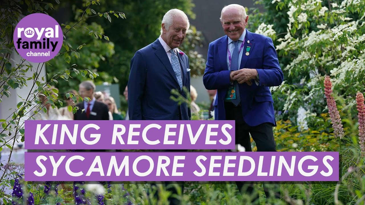 King Receives Famous Sycamore Gap Tree Seedlings Months after Felling