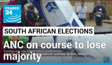 ANC on course to lose majority in South Africa's seismic election • FRANCE 24 English