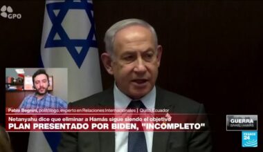 Pablo Begnini: "La presión a Netanyahu llega desde la opinión pública y su gabinete" • FRANCE 24