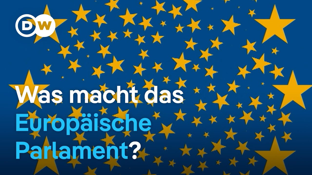 EU erklärt: Was macht das Europäische Parlament? 2/5 | DW Nachrichten