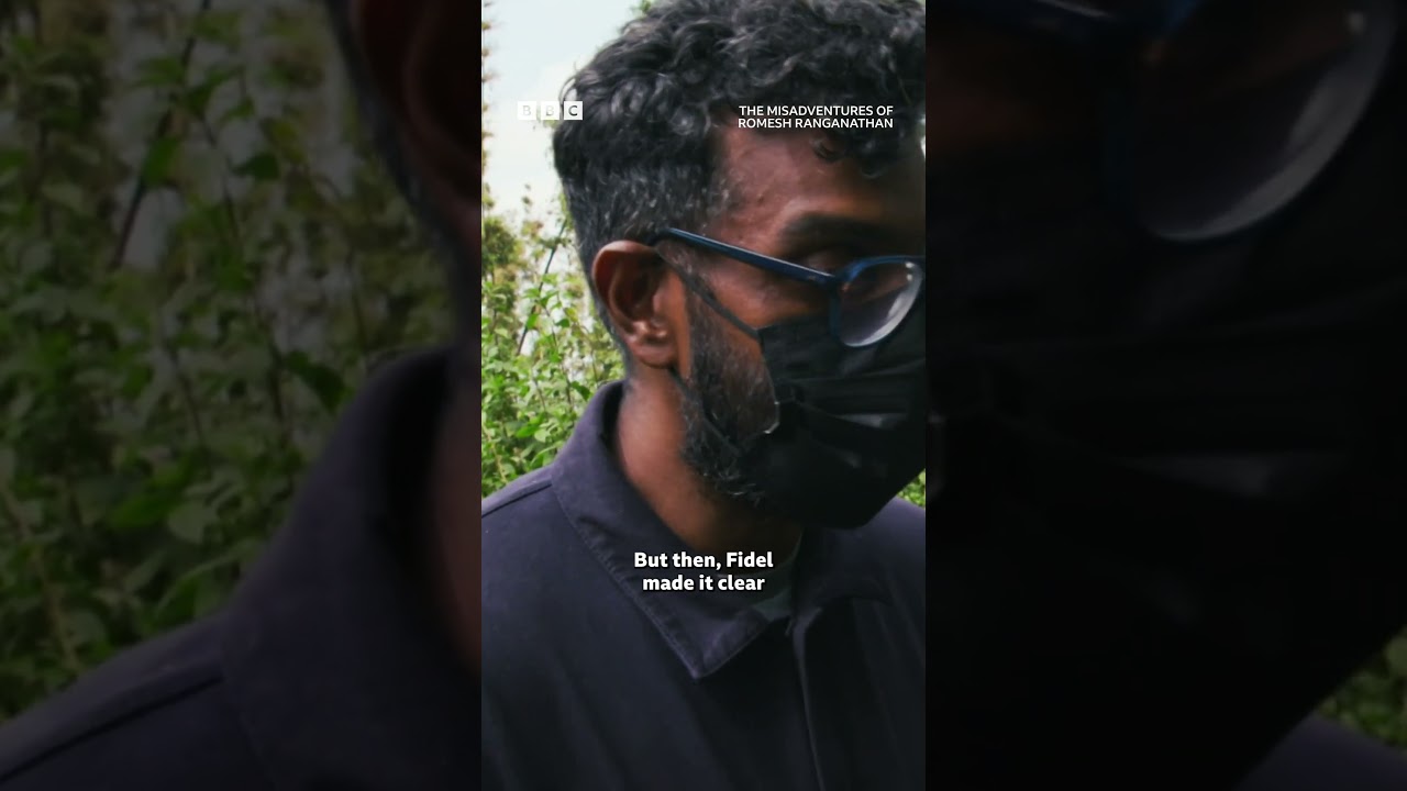 This gorilla has some serious wind 🦍 💨#TheMisadventuresOfRomeshRanganathan #iPlayer