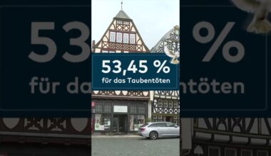 DEUTSCHLAND: Tauben-Tötung - Die Plage von Limburg! Die Emotionen kochen hoch! #shorts