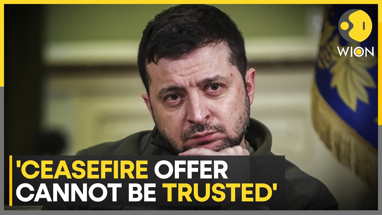Russia-Ukraine war | Zelensky on Putin's peace demands: Putin's proposals offensive to common sense