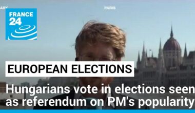 Hungarians elect EU representatives in a vote seen as a referendum on PM Orban's popularity