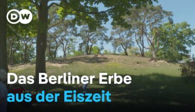 Naturschutz auf Berlins letzter Düne | DW Nachrichten