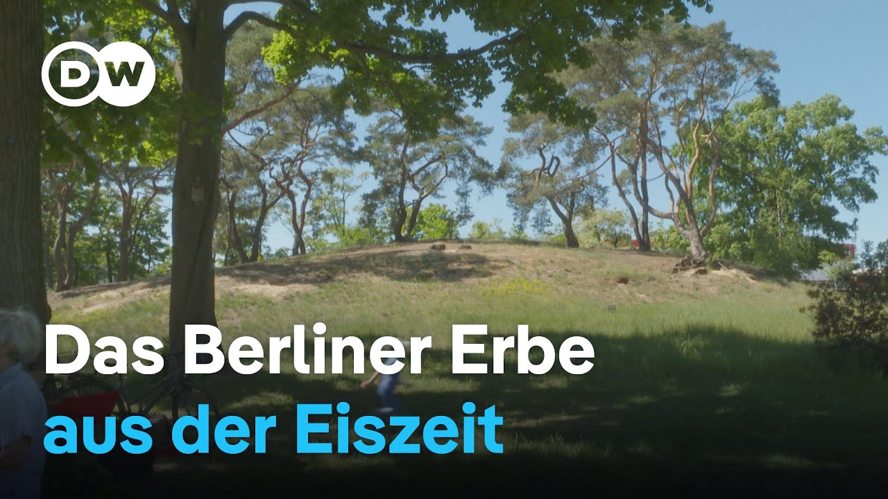 Naturschutz auf Berlins letzter Düne | DW Nachrichten
