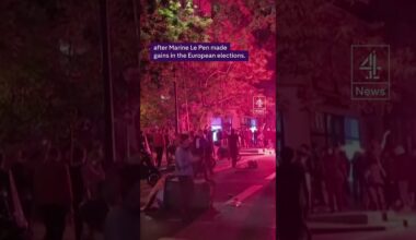 Protests break out in France after EU vote