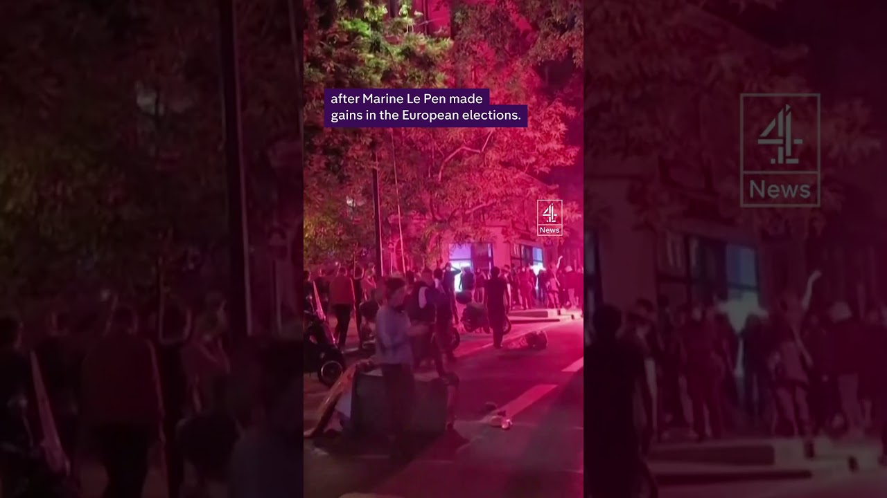 Protests break out in France after EU vote