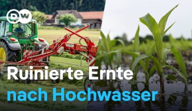 Deutschland: Hochwasser trifft Wirtschaft | DW Nachrichten