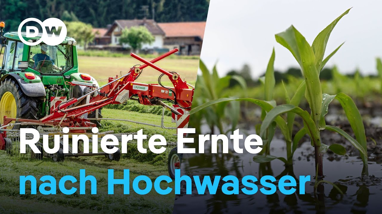 Deutschland: Hochwasser trifft Wirtschaft | DW Nachrichten