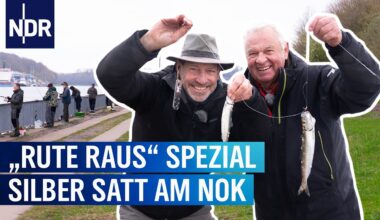 Heringe fangen im Nord-Ostsee-Kanal | Rute raus, der Spaß beginnt! | NDR