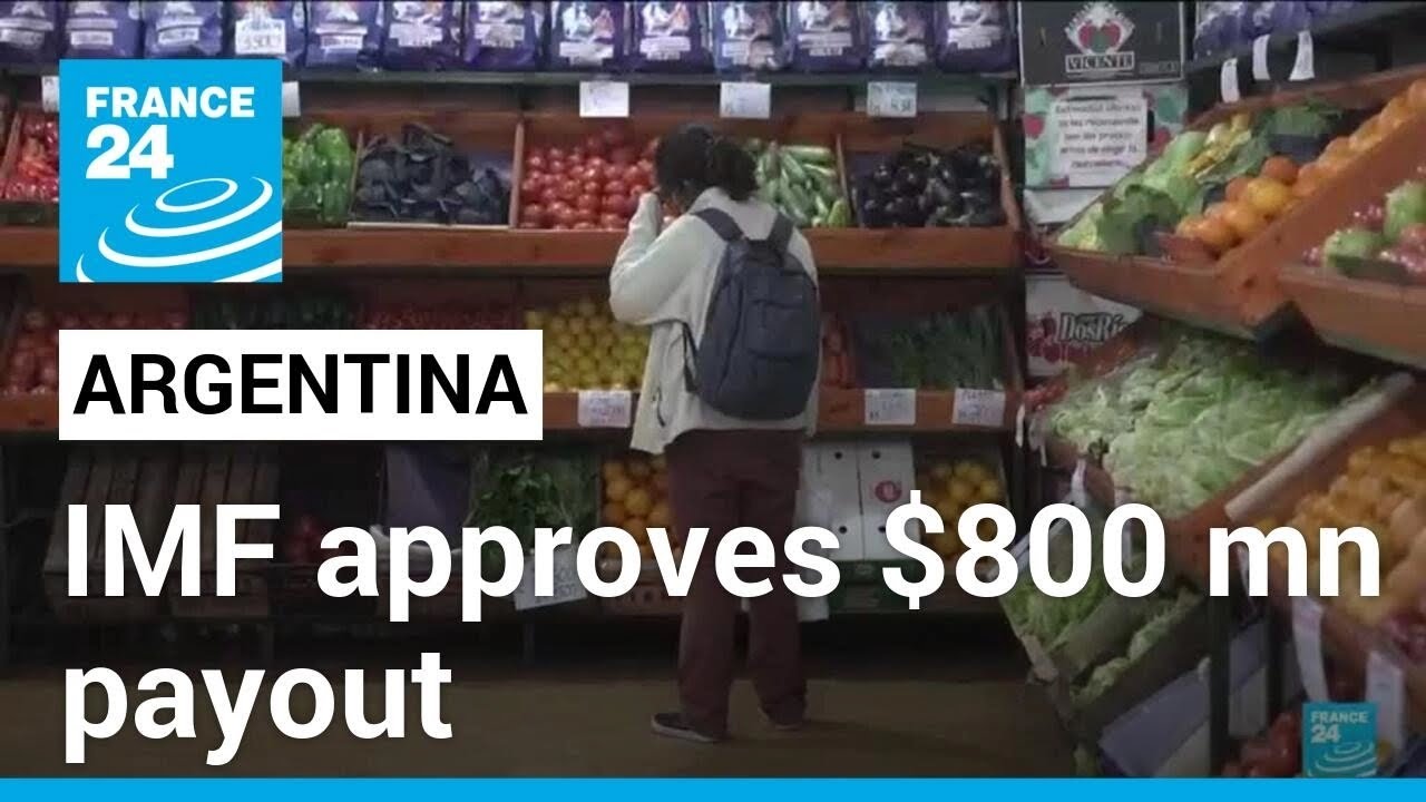 IMF board approves Argentina payout of almost $800 mn • FRANCE 24 English