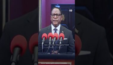 Malawian president: plane carrying the country's vice president crashes | DW News