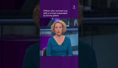 Surrey police officer taken off duty for ramming cow