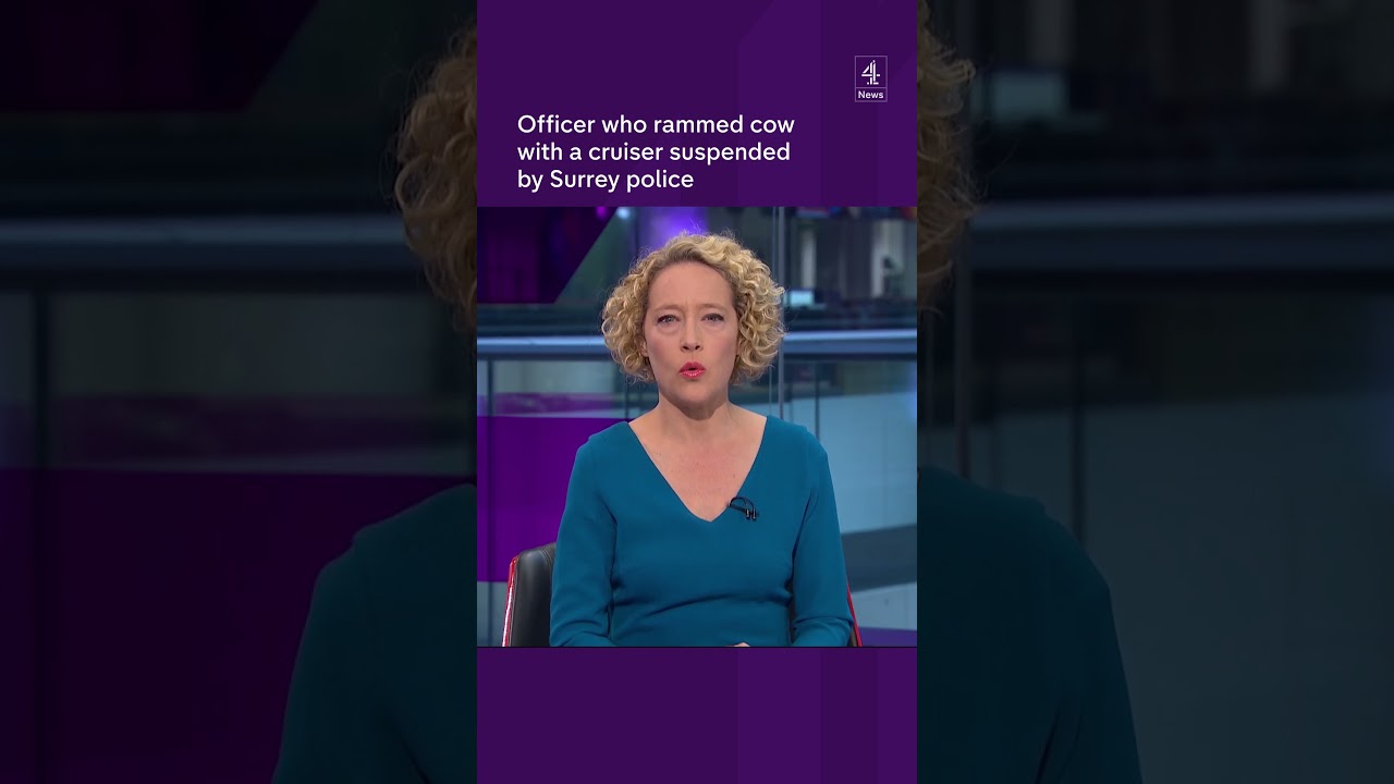 Surrey police officer taken off duty for ramming cow