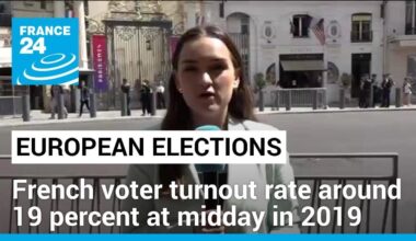 French voter turnout rate was 'just above 19 percent' at midday in 2019 European elections