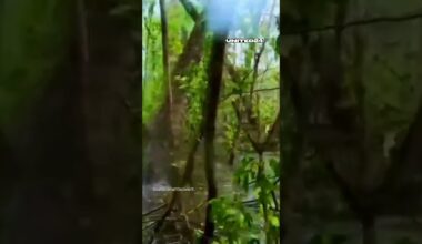 Ukrainian marines pass through swampy terrain under heavy shelling #warinukraine #russia #shorts