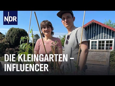Kleingärten: Großstädter unterwegs im Beet | Die Nordreportage | NDR Doku