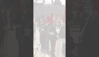 Guard falls backwards at Windsor Castle