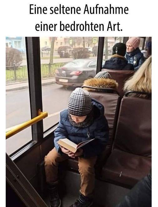 Der weishaubige Bücherwurm