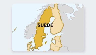 Européennes : En Suède, l'extrême droite recule pour la première fois depuis sa création en 1988