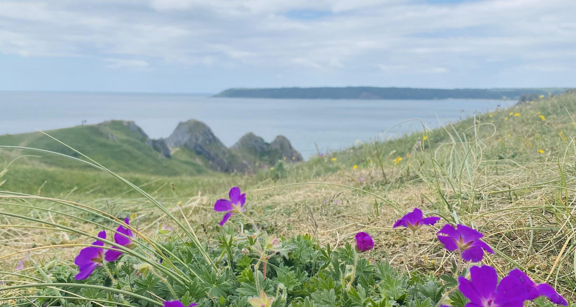 Three cliffs bay