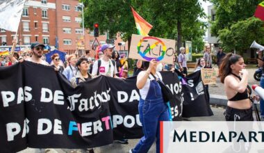 Mediapart : Agression homophobe le soir de la victoire de Bardella : « Ils auraient pu me tuer »