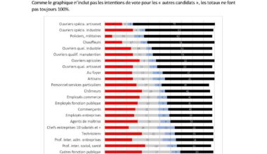 Comment expliquez vous ce graphique ?