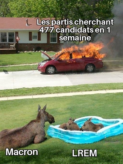 Moi je dis que ça doit être super divertissant 🍿