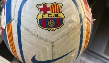 Help! My idiot dog chewed up my son's friend's ball. Any idea where I can get a replacement in the US?