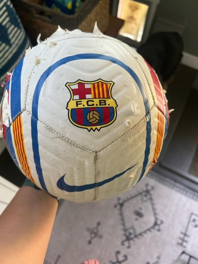 Help! My idiot dog chewed up my son's friend's ball. Any idea where I can get a replacement in the US?