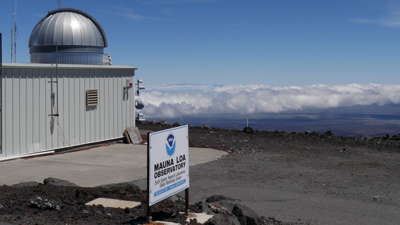 During a year of extremes, carbon dioxide levels surge faster than ever