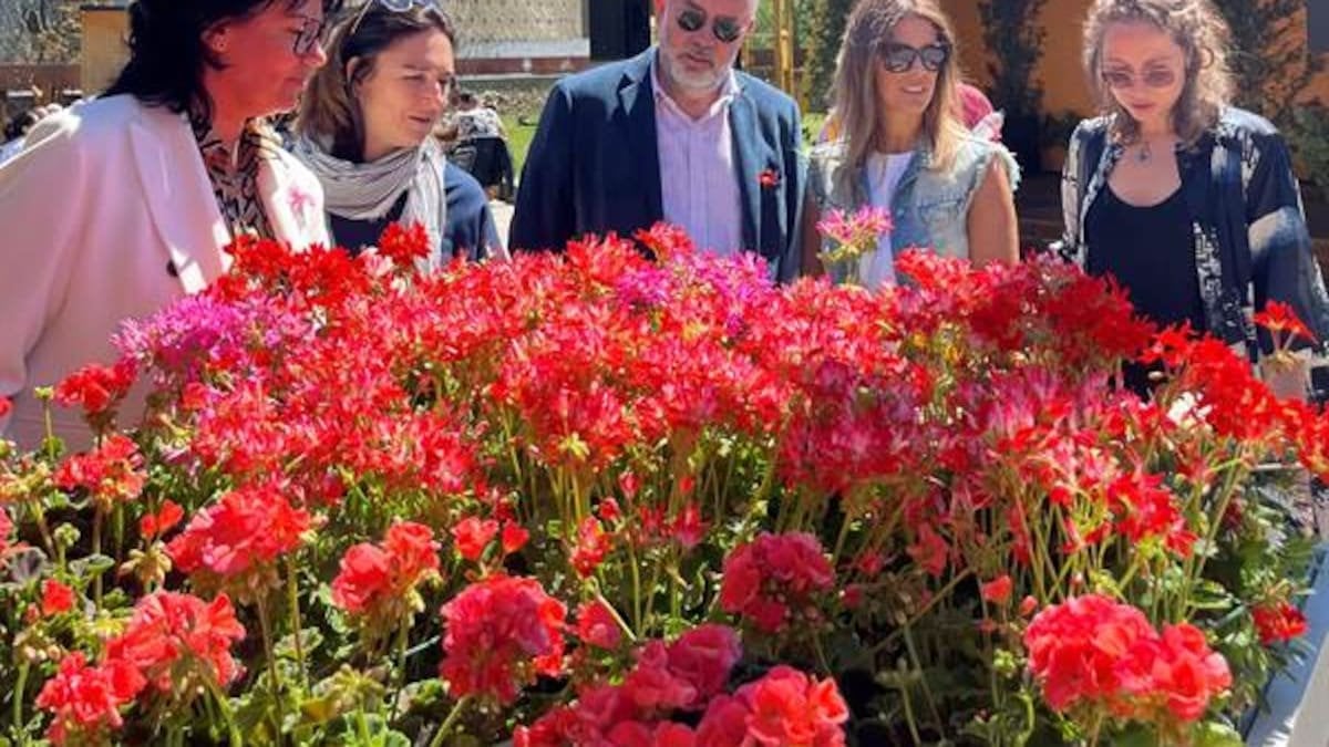 Sansa manté que modificar les transferències pot afectar negativament els comuns