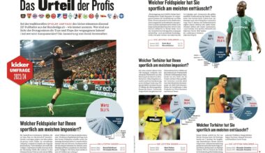 In the yearly traditional Kicker survey, 227 Bundesliga players have anonymously voted the best Bundesliga player of 2023-24 season: Florian Wirtz (51.1%), Granit Xhaka (7.5%), Grimaldo (6.2%), Serhou Guirassy (5.3%), Jamal Musiala (4.4%) Deniz Undav (4.4%), Harry Kane (3.5%) and Xavi Simons (1.8%)