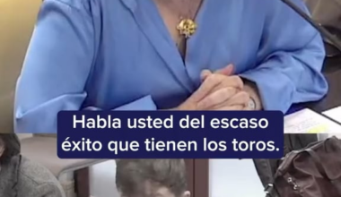 Tauromaquia: ¿cultura o tortura?
