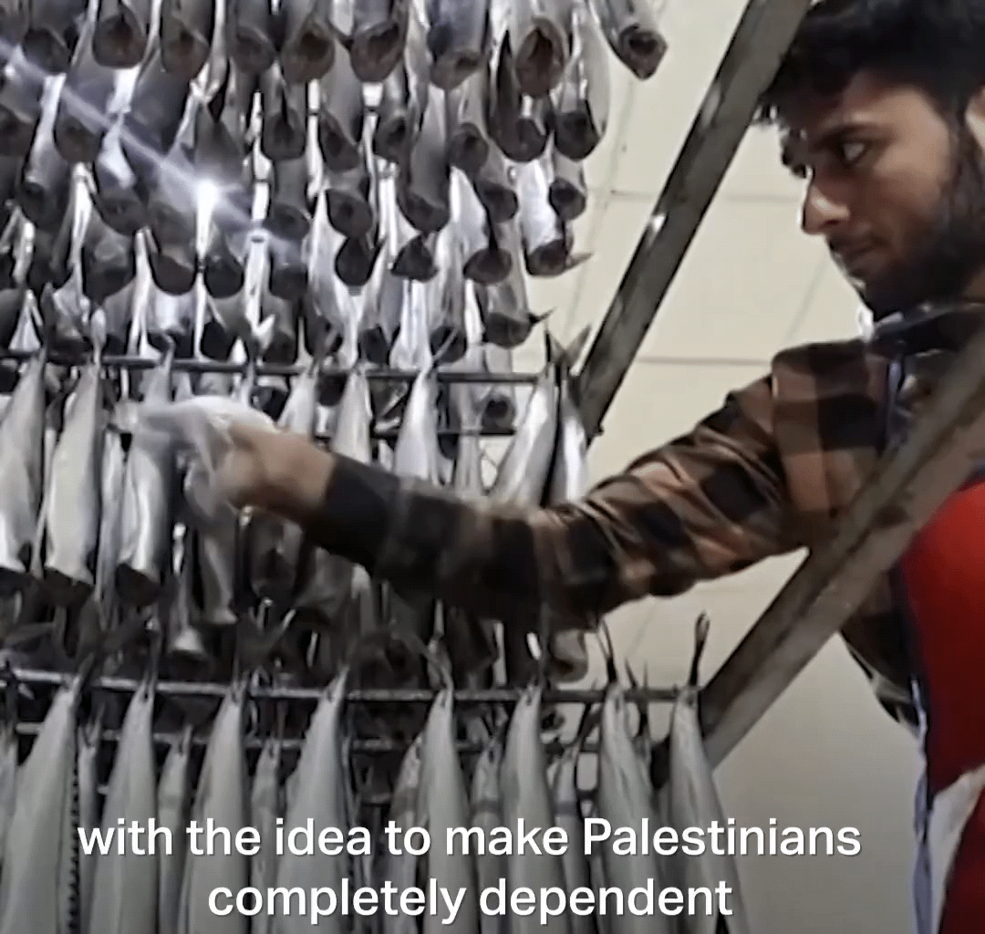 To claim Palestine is unsafe for Jewish people