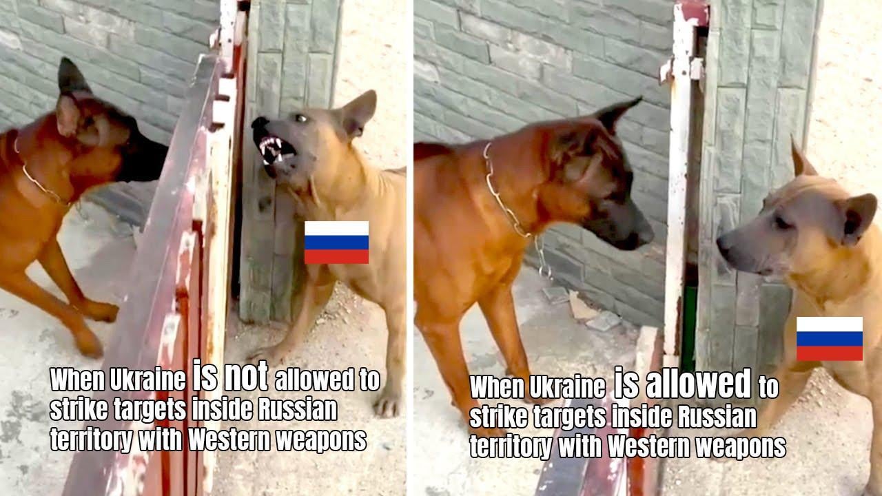 Don't Be a Menace to Ukraine While Drinking Your Vodka in Russia, i.e. Russians have been very much discouraged by the prospects of the attacks in Russian territory by Western weapons provided to Ukraine. Now, that the odds are even, Putin and his minions are not as cool as they used to be.