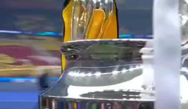 Madrid won the UCL, so heres a VINICIUS ART and EDIT...