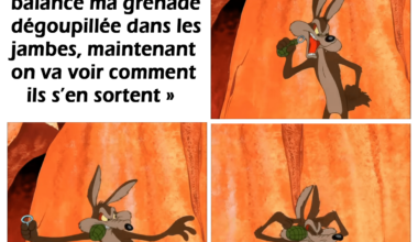 Citation dissolution