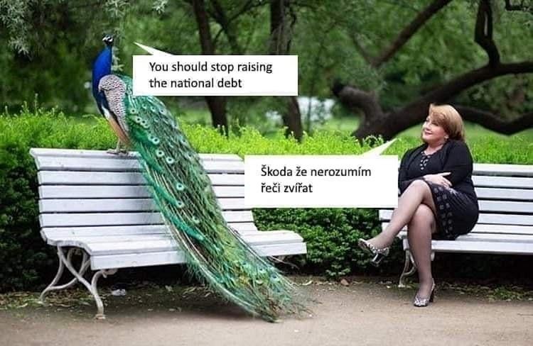 😂😂🤣😅