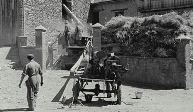 Tabac, cànnabis i blat