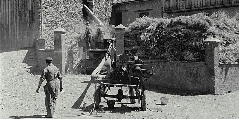 Tabac, cànnabis i blat