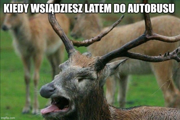Higiena osobista się u nas zdecydowanie nie przyjęła.
