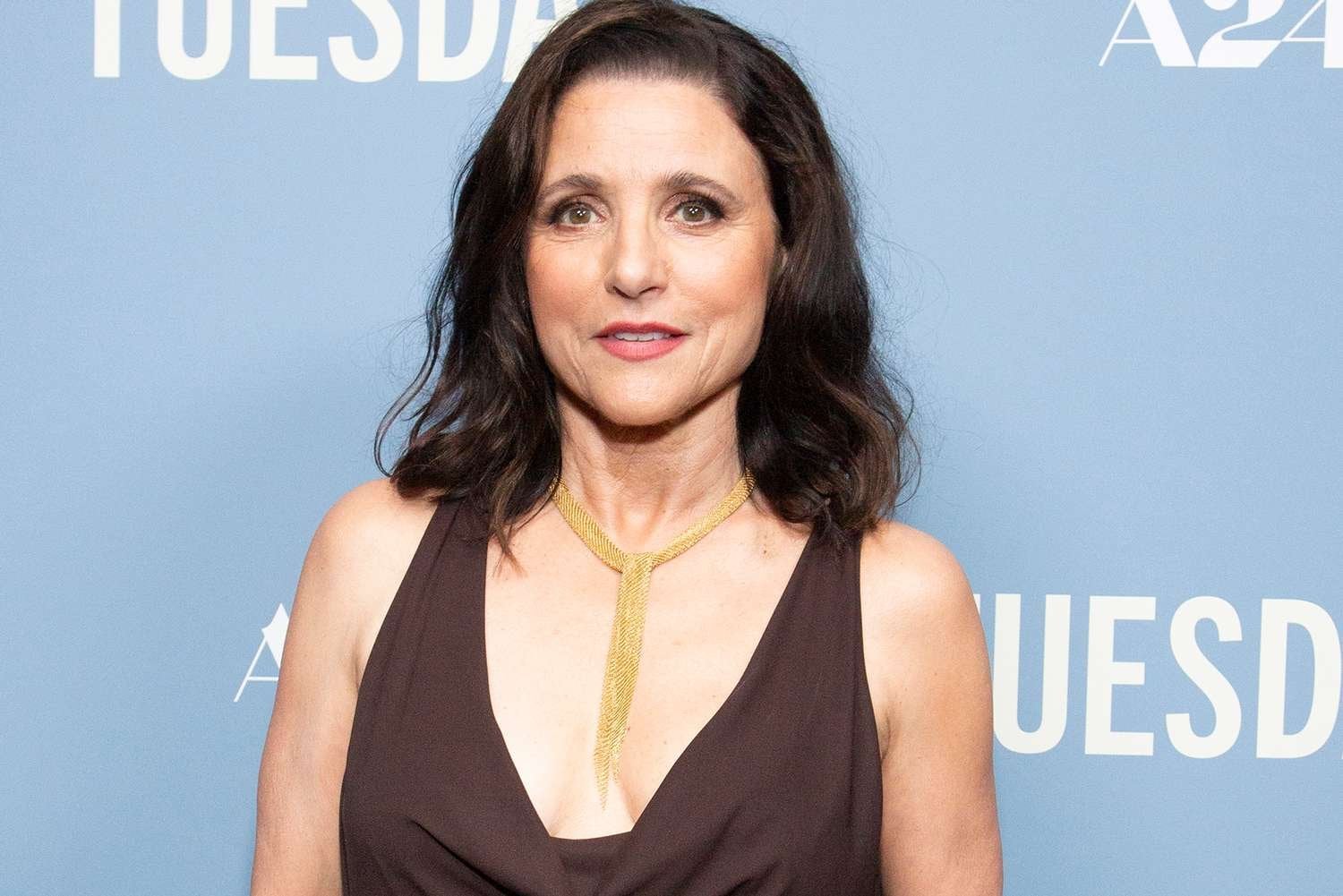 Julia Louis-Dreyfus says it's a 'red flag' when comedians complain about political correctness