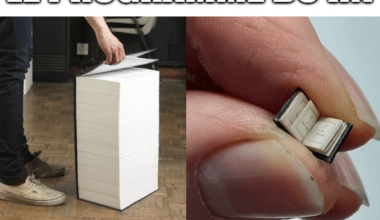 Ils ont du le perdre, c'est pas leur faute