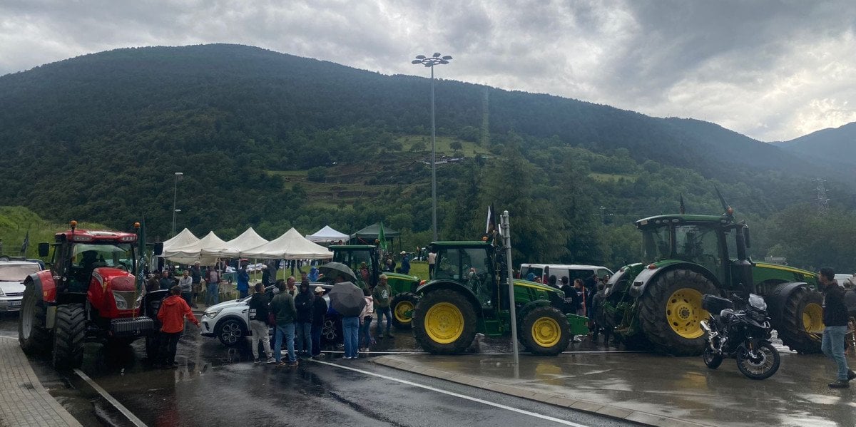 Hi han més articles avui -06/05/2024. Aqui estan tots els titulars que he trobat...