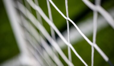 Die Spielpläne der Bundesliga und 2. Bundesliga werden voraussichtlich am 04. Juli veröffentlicht.